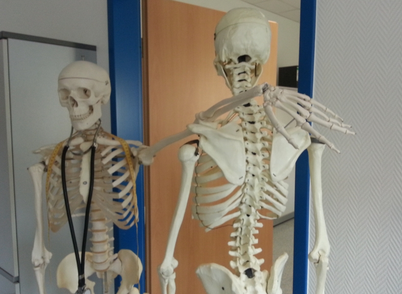 Massage Work in a PT Office or Chiropractic Clinic