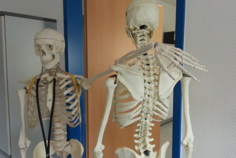 Massage Work in a PT Office or Chiropractic Clinic