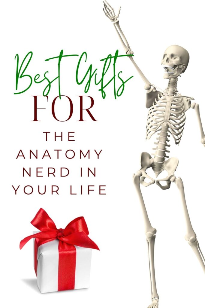 Best Gifts for An Anatomy Nerd The Massage Business Mama